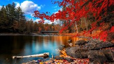 Landscape river nature trees fall bridge Custom Gaming Mat Desk picture