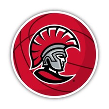 University of Tampa Spartans Offic. Lic. Sport Design Sticker/Magnet picture