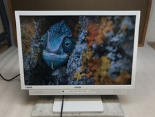 Epson LD22W81S 22-inch Wide TFT 50/60 Hz LCD Monitor Set of 2 - HDMI Pwr Cbl Inc picture