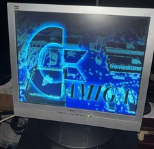 ViewSonic VG910S LCD Monitor • 5:4 Ratio • Vintage Display • Beautiful Retro 90s picture
