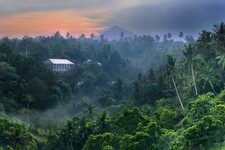 Landscape nature tropical forest jungle mountains mist Custom Gaming Mat Desk picture