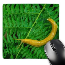 3D Rose USA California Redwoods National Park Banana Slug On Fern Mouse Pad - 8 picture