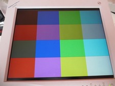 Scratched NEC MultiSync LCD2010 XtraView 20.1
