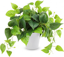 Artificial Plants Fake Pothos with Plastic Pot Artificial Potted Plant for Home picture