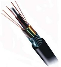 6 fiber loose tube armored 62.5/125 (price per foot) [video game] picture