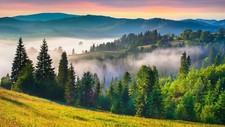 Landscape grass nature trees mist field mountains summer Custom Gaming Mat Desk picture