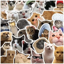 50 Pcs Cat Stickers,Funny Meme, Kawaii for Kids Adults,Waterproof 1 Pack picture