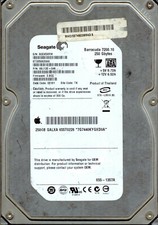 ST3250820AS,  9BJ13E-046,  3.BQE, TK,  9QE6,  SEAGATE SATA 250GB  08191 picture