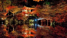 Landscape nature trees forest leaves fall branch japan Custom Gaming Mat Desk picture