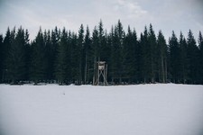 Landscape forest snow nature winter Custom Gaming Mat Desk picture