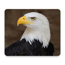 American Bald Eagle Portrait Wildlife Bird Photography Mouse Pad 9.25x7.75 picture