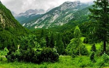 Landscape forest nature Custom Gaming Mat Desk picture