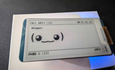 Pwnagotchi Digital WiFi Pet CASE INCLUDED  picture