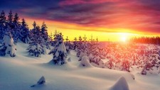 Landscape snow trees sunset nature sunlight cold Custom Gaming Mat Desk picture