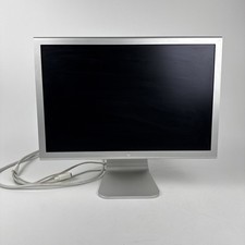 Apple 20
