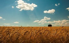 Landscape field sky summer wheat agro Custom Gaming Mat Desk picture