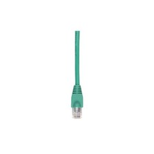 Black Box - EVNSL642-0010 - Black Box GigaTrue Cat. 6 UTP Patch Cable - RJ-45 picture