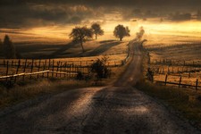 Landscape morning mist nature trees sunlight forest Custom Gaming Mat Desk picture