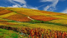 Landscape hills vineyard agro field plants Custom Gaming Mat Desk picture