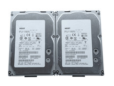 LOT OF 2 HGST 600GB 0B24481 3.5