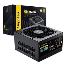 Segotep 750W Gold Full Modular Switching Power Supply SG-850G *READ DESCRIPTION* picture
