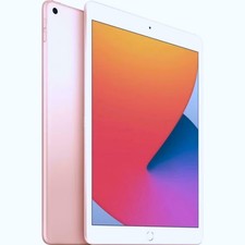 Apple iPad (8th Gen) A2270 10.2