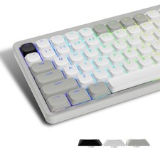 Low Profile Shine Through PBT Keycaps For Cherry Gateron MX Grey White picture