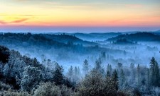 Landscape photography nature morning mist winter forest Custom Gaming Mat Desk picture