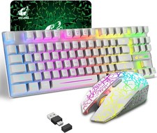 ZIYOU LANG T87 Wireless Gaming Keyboard and Mouse Combo with 87 Key Rainbow LED picture