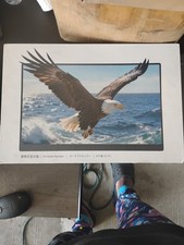 ASUS MB MB16AC 15.6 inch ZenScreen Monitor picture