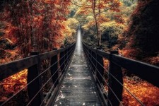 Landscape nature bridge wooden surface fall forest Custom Gaming Mat Desk picture