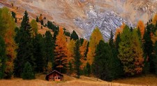 Landscape trees fall hut Custom Gaming Mat Desk picture