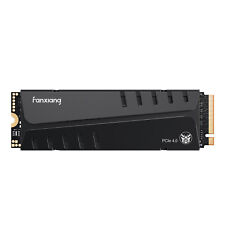 Fanxiang 2TB SSD PS5 Heat Sink Gaming M.2 NVMe SSD PCIe 4.0 Solid State Drives picture