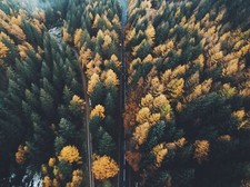 Landscape aerial view trees fall drone Custom Gaming Mat Desk picture