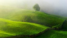 Landscape nature hills mist trees field grass fence Custom Gaming Mat Desk picture