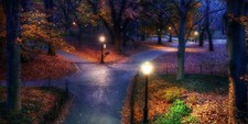 Landscape fall park new york city trees walkway street Custom Gaming Mat Desk picture