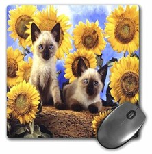 3dRose LLC 8 x 8 x 0.25 Inches Mouse Pad, Adorable Siamese Kittens N' Sunflowers picture
