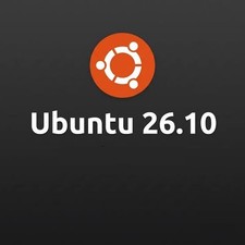 Ubuntu 26.10 Live USB Linux OS picture