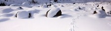 Landscape snow winter Custom Gaming Mat Desk picture