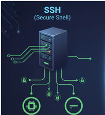 RACK AND STACK INSPUR 8x V100 Server for Remote ACCESS Service Fee Roll Purchase picture