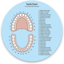 Round Mouse Pad,Tooth Chart Mouse pad,Custom Small Mouse Pads with Designs,Porta picture