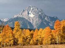 Landscape mountains fall mount moran wyoming grand teton Custom Gaming Mat Desk picture