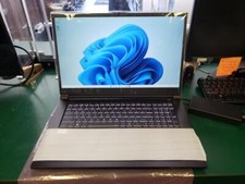 Sager Clevo NP70PNP Laptop (i7, 16GB, 500GB NVMe, RTX 3060, Win 11) (E10019847) picture