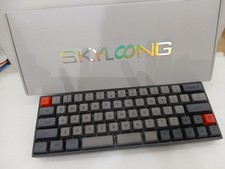 Keyboard Model SK66 SKYLONG picture