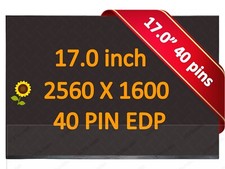 New 240hz Display for MSI RAIDER GE78HX 13VH MS-17S1 17