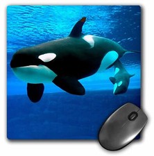 3dRose Killer Whales MousePad picture