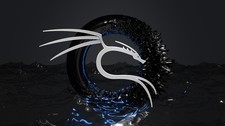 Kali-Linux 2026.2 USB picture