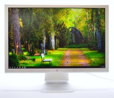 Apple 20