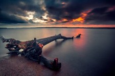 Landscape beach sunset dead trees skyscape nature sky Custom Gaming Mat Desk picture