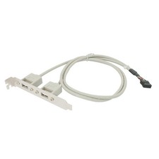USB-A Dual External Port to Motherboard Port 24in 2x5 Pin Bracket Header Cable picture